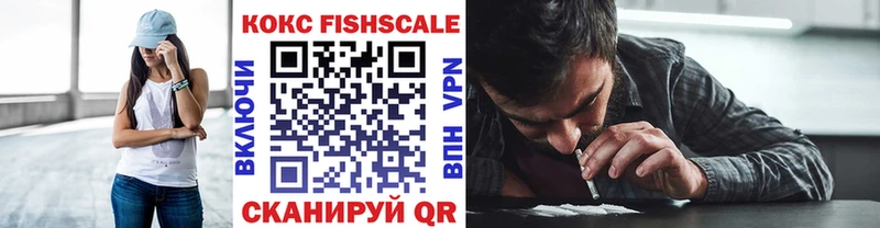 Кокаин FishScale  Называевск 