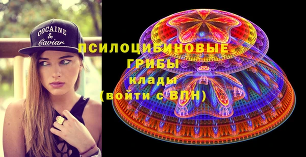 дурь Кодинск