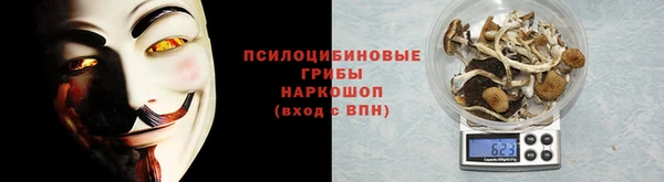 apvp Корсаков